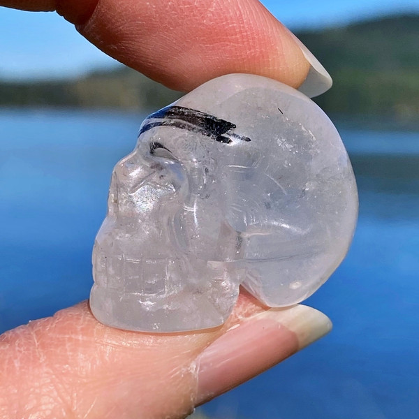 Raven's Black Tourmaline Needles Quartz Crystal Skull