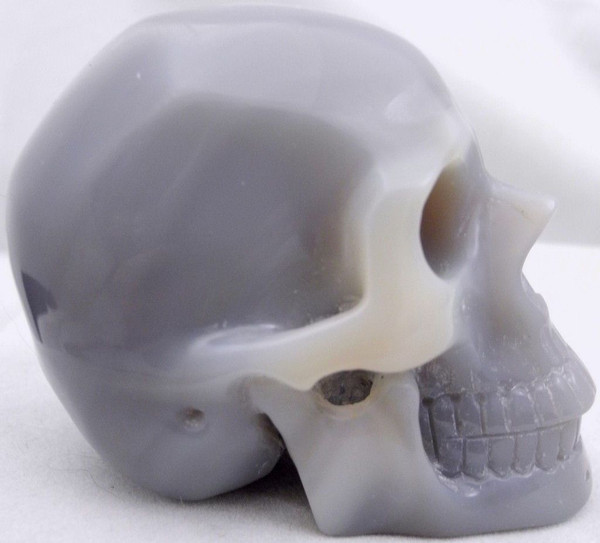 Raven's Carved Blue Agate Crystal Skull with Druzzy Vug