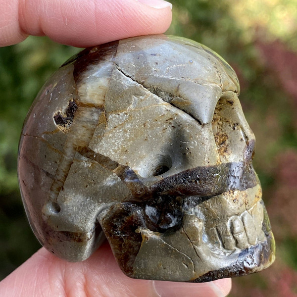 Septarian Nodule Fossil Carved Crystal Skull 2"