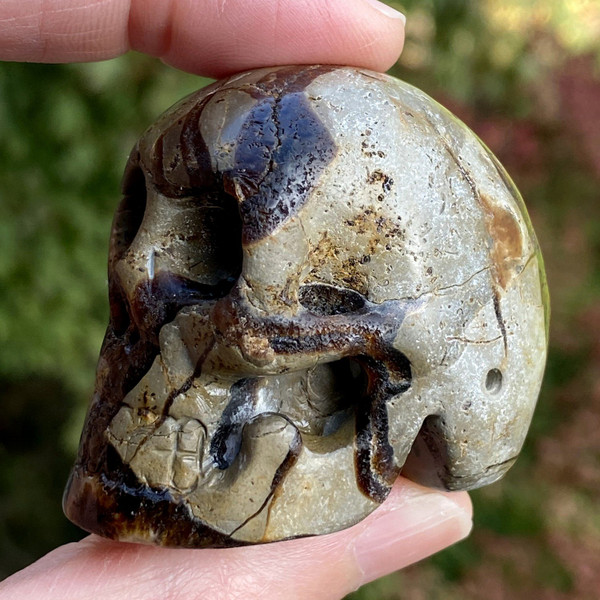Septarian Nodule Fossil Carved Crystal Skull 2"