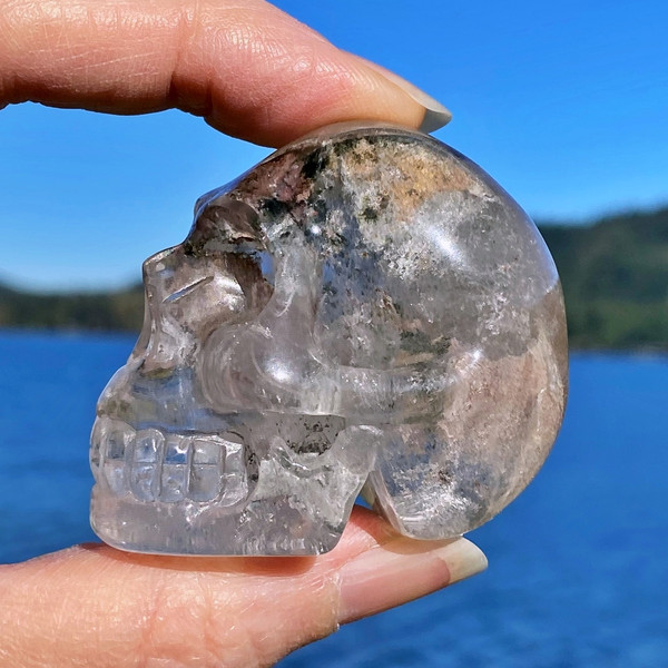 Raven's Lodolite Garden Quartz Crystal Skull