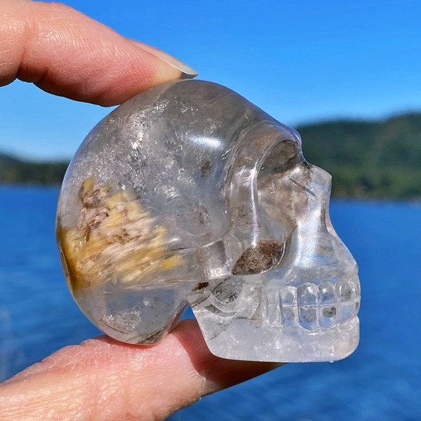 Raven's Lodolite Garden Quartz Crystal Skull