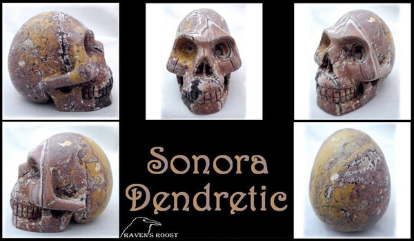 Raven's Carved 3" Sonoran Dendritic Agate Crystal Skull