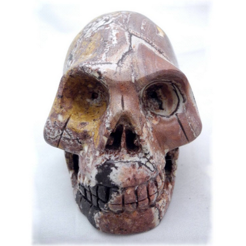 Raven's Carved 3" Sonoran Dendritic Agate Crystal Skull