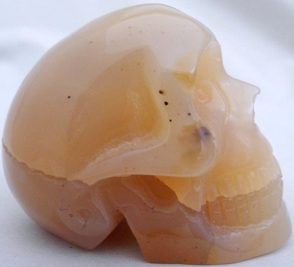 Raven's Translucent Carnelian Brazilian Agate Crystal Skull