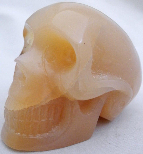 Raven's Translucent Carnelian Brazilian Agate Crystal Skull
