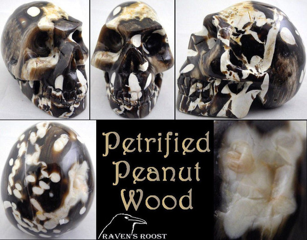 Raven's Carved Peanut Wood Crystal Skull