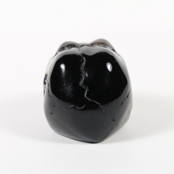 Raven's Apache Tear Obsidian Alien Crystal Skull 1.6" 40mm
