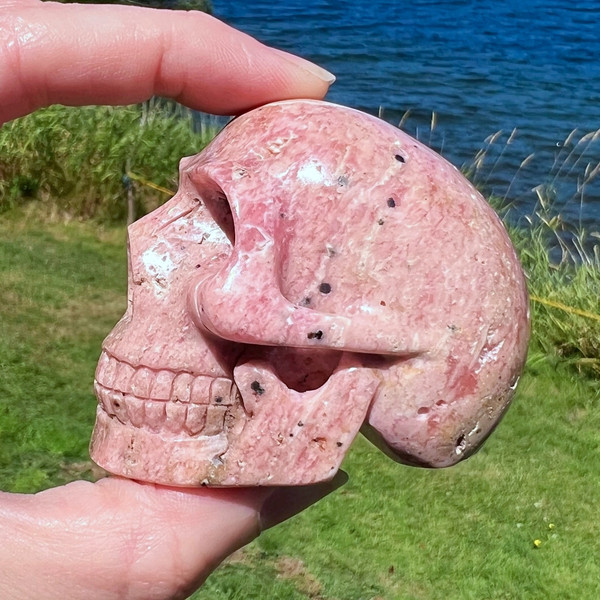 Raven's Rhodochrosite Carved Crystal Skull