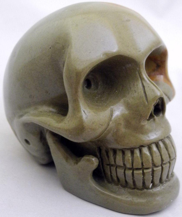 Raven's Wildhorse Picture Jasper Crystal Skull
