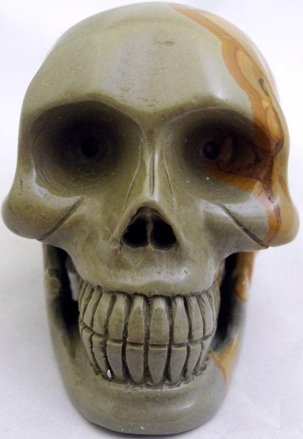 Raven's Wildhorse Picture Jasper Crystal Skull