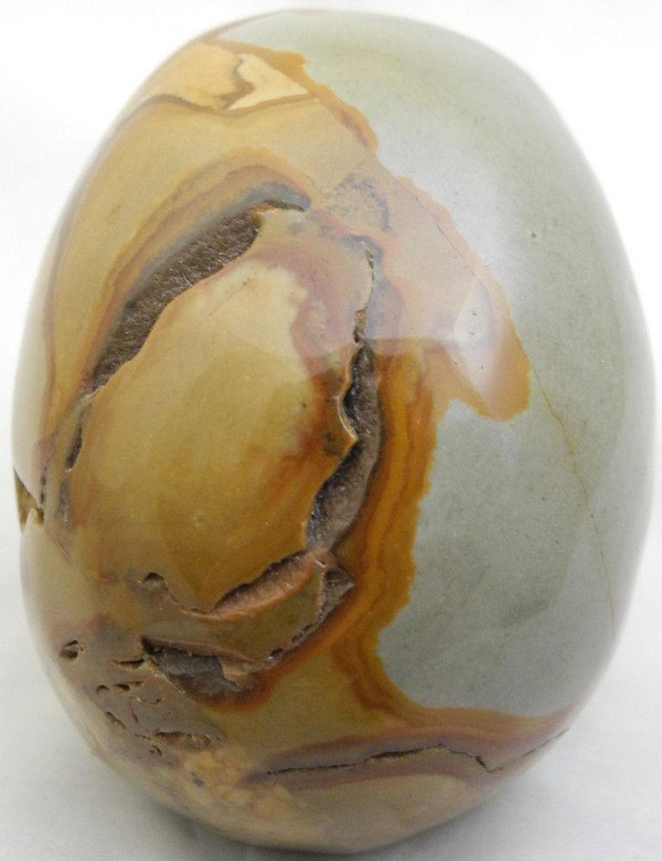 Raven's Wildhorse Picture Jasper Crystal Skull