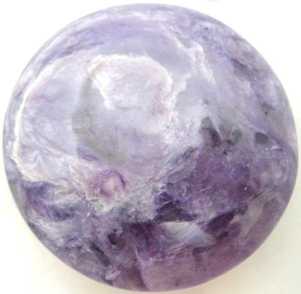 Raven's Carved Charoite Puffed Disk Reflective Polish