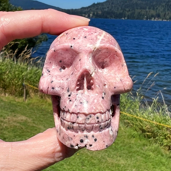 Raven's Carved Rhodochrosite Crystal Skull