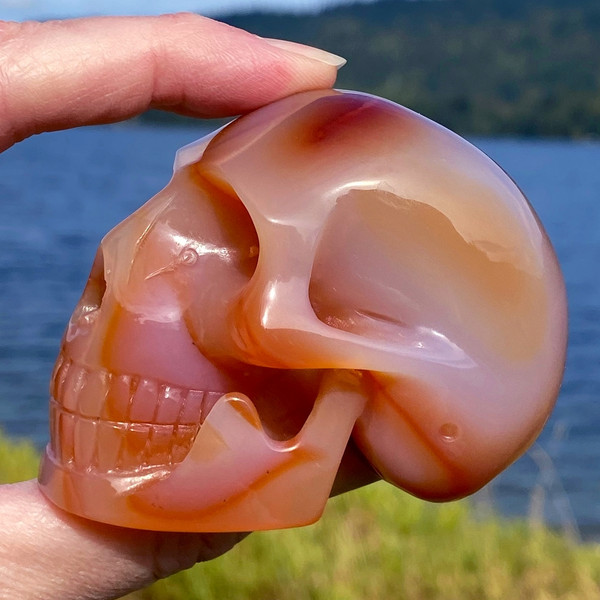 Raven's Carved Deep Carnelian Classic Style Crystal Skull