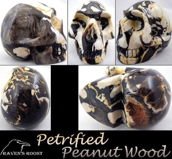 Raven's Carved Super-fine Peanut Wood Crystal Skull