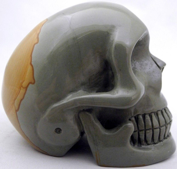 Raven's Carved Wildhorse Picture Jasper Crystal Skull