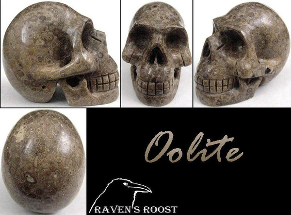 Raven's Orbicular Patterns Carved Fossil Oolite Crystal Skull