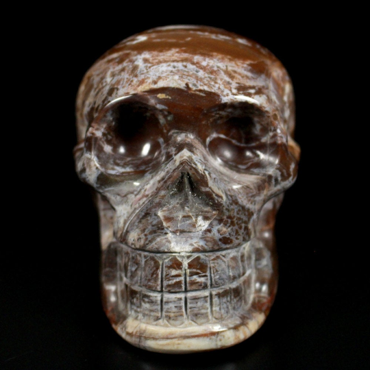 Petrified Wood Crystal Skull 4.1"