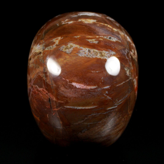 Petrified Wood Crystal Skull 4.1"