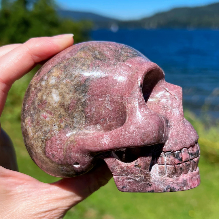 Raven's Carved "Classic" Style Rhodonite Crystal Skull