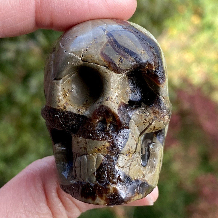 Septarian Nodule Crystal Skull 2"