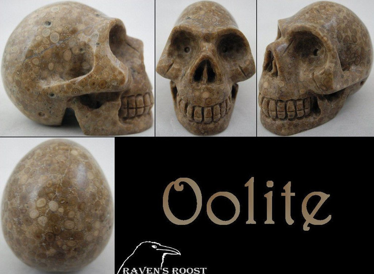 Raven's Carved Oolite Crystal Skull 1