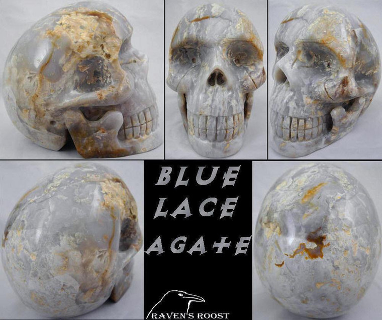Raven's Carved  Blue Lace Agate Crystal Skull