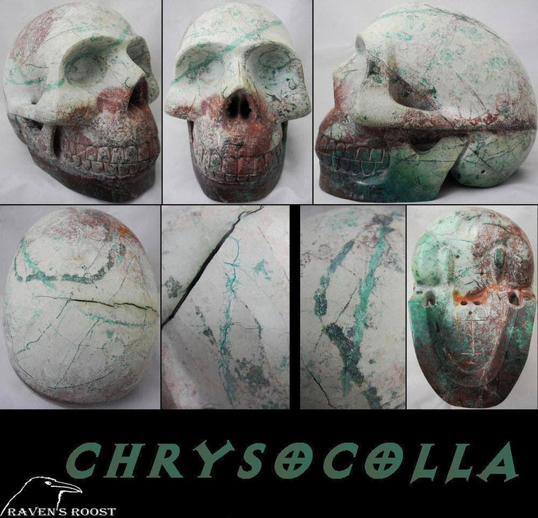 Raven's Carved Classic Style Chrysocolla Crystal Skull