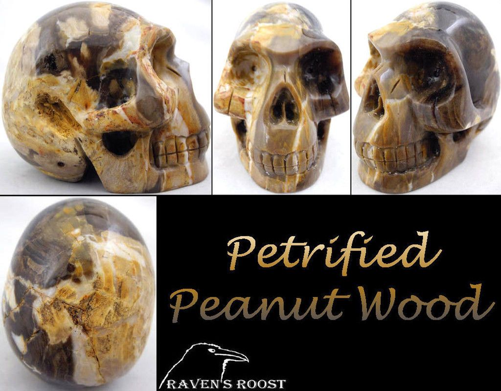 Raven's Peanut Wood Crystal Skull