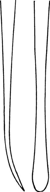 Aesculap Freer Elevator Sharp/Blunt 4/3.5mm Tip, 185mm, 7.25"
