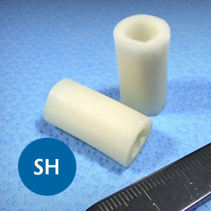 Short Cortical Segment 1.5 - 2.2 cm length, Frozen