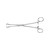 Aesculap Babcock Tissue/Organ Forceps 220MM