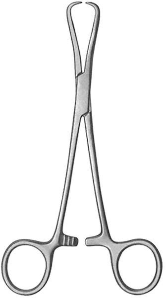 GS 46.4117