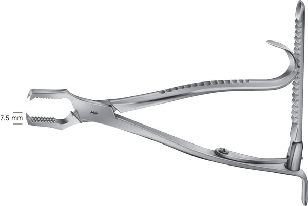 Aesculap Kern Bone Holding Forceps