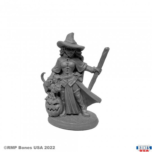 Cynthia the Wicked Witch (30103) Cynthia the Wicked Witch (30103)