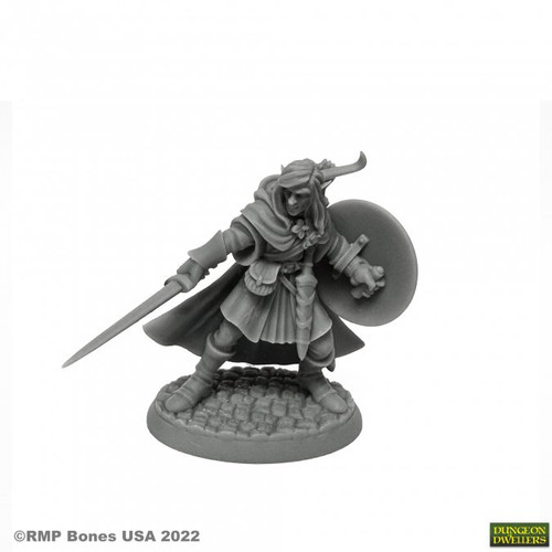 Mellonir Windrunner, Elf Warrior (07026) Mellonir Windrunner, Elf Warrior (07026)