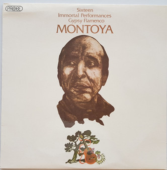 Carlos Montoya - Sixteen Immortal Performances: Gypsy Flamenco