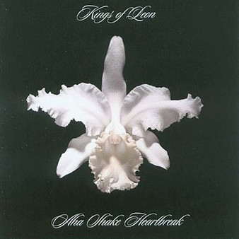 Kings Of Leon - Aha Shake Heartbreak VG+