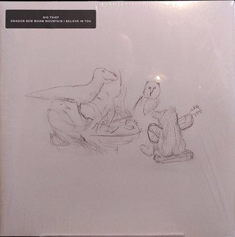 Big Thief - Dragon New Warm Mountain I Believe In You NM or M-