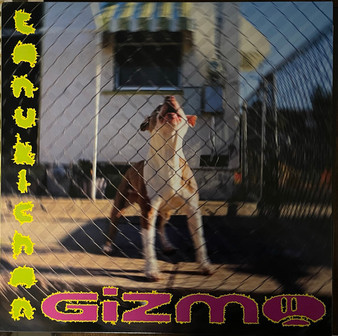 Tanukichan - Gizmo M