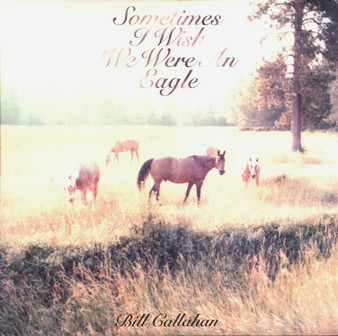 Bill Callahan - Sometimes I Wish We Were An Eagle VG+