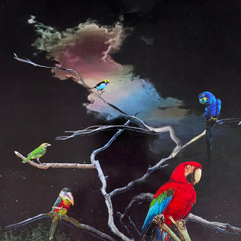 Alex G  - Live From Union Transfer NM or M-