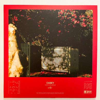 Casey (15) - How To Disappear