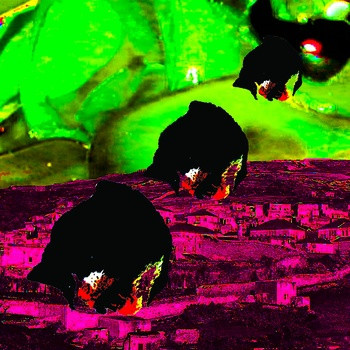 Pets With Pets - We Only Found This Place VG+