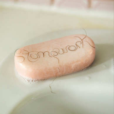 Dry Cleaning - Stumpwork M