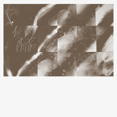 Peter Knight  - For A Moment The Sky Knew My Name M