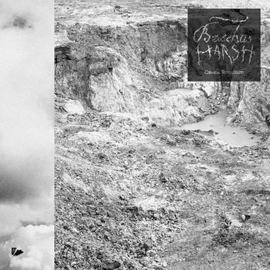 Bacchus Harsh - Caveat Tumultum NM or M-