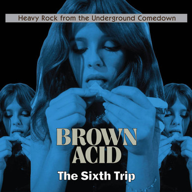 Various - Brown Acid: The Sixth Trip (Heavy Rock From The Underground Comedown) NM or M-