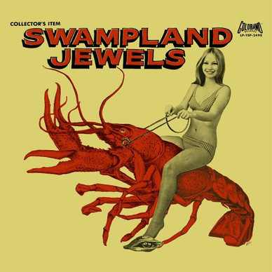 Various - Swampland Jewels VG+